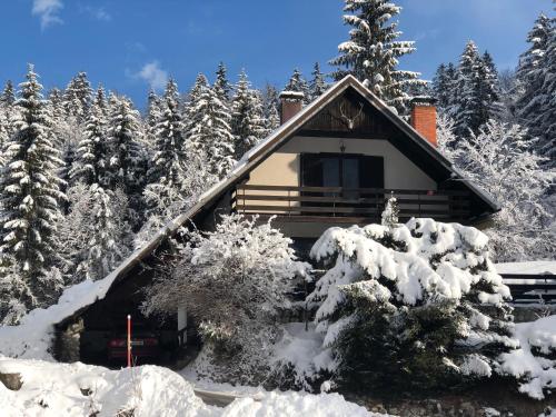 una cabina nel bosco ricoperta di neve di Chalet Marko a Kranjska Gora