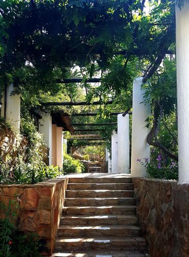 a set of stairs leading up to a building with a tree at Montagu Little Sanctuary - Hot Spring Access at Special Rate in Montagu