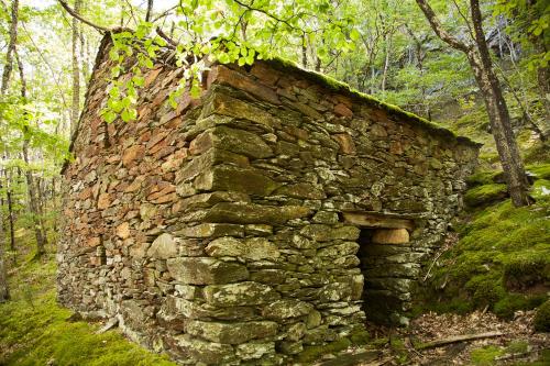 an old stone building in the middle of a forest at La ferme des Cévennes in Florac Trois Riviere
