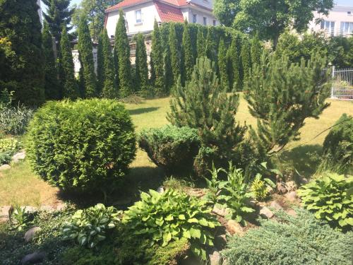 Zahrada ubytování Willa Przy Plaży Gdynia Kamienna Góra
