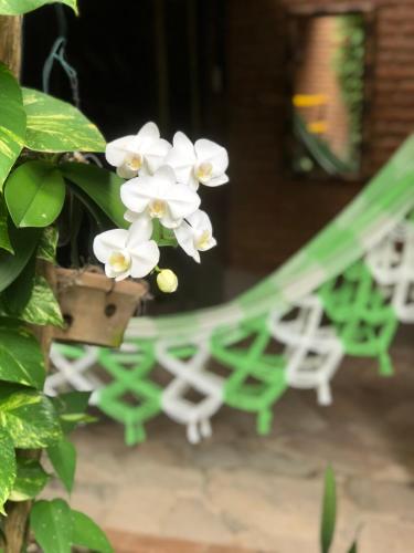 Taman di luar Lua Pousada