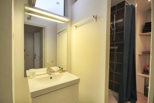 une salle de bain avec un lavabo, un miroir et une douche dans l'établissement Loft Isis - Appartement Avignon centre, à Avignon