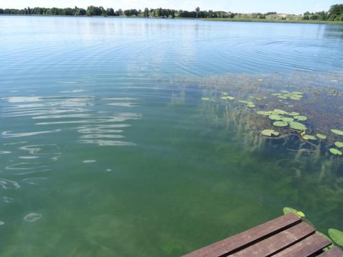 a large body of water with a wooden pier at Dereniowe Wzgórze in Sejny