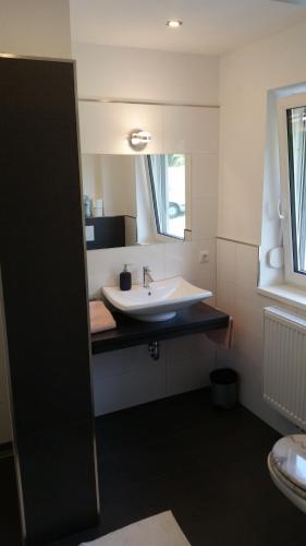 a bathroom with a sink and a large mirror at Ferienhaus Kaiser in Gallizien