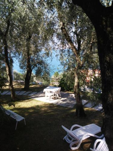 a picnic table and benches in a park with trees at B&B Lil in Brenzone sul Garda