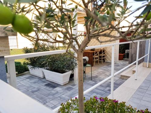 a patio with potted plants and a tree at AlCivico3 in Civitanova Marche