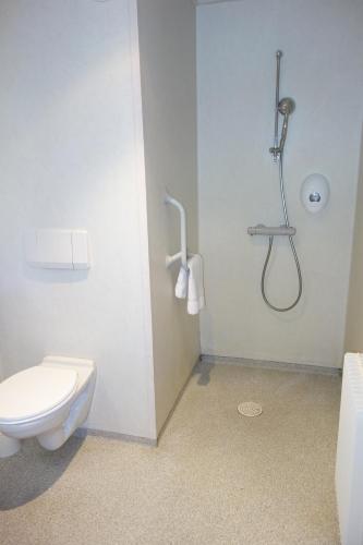 a bathroom with a toilet and a shower at Hostellerie Bon Pasteur in Angers