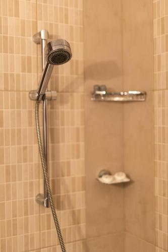 a shower with a shower head in a bathroom at Gasthaus Grindeshti in Văliug