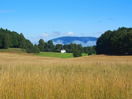 a field of grass with a white house in the distance at Trapani glamping camp in Růžová