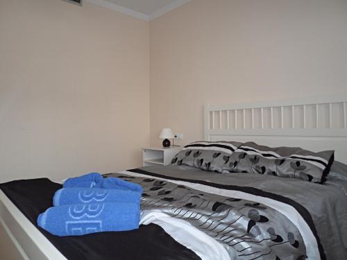 ネルハにあるIBN SADI 2 MENYBERのベッドルーム1室(青いタオル付きのベッド1台付)