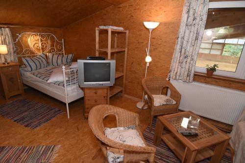 ein Wohnzimmer mit einem Sofa und einem TV in der Unterkunft kleines Appartment auf Gestütsanlage in Drangstedt