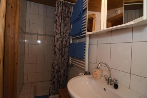 een badkamer met een wastafel en een douche bij kleines Appartment auf Gestütsanlage in Drangstedt