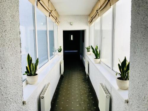 a corridor in an office with windows and plants at SPA Hotel in Vorzelʼ