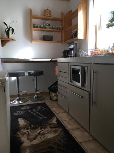 a kitchen with a cat on a rug on the floor at Zum Stadtwald in Spremberg