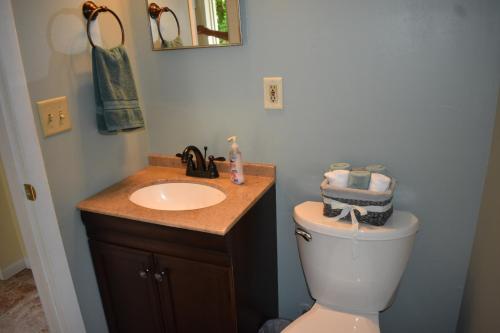 a bathroom with a white toilet and a sink at Cozy 2 Bedroom House in Adrian