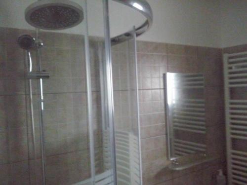 eine Dusche mit Glastür im Bad in der Unterkunft Laguna Verde in Crivina