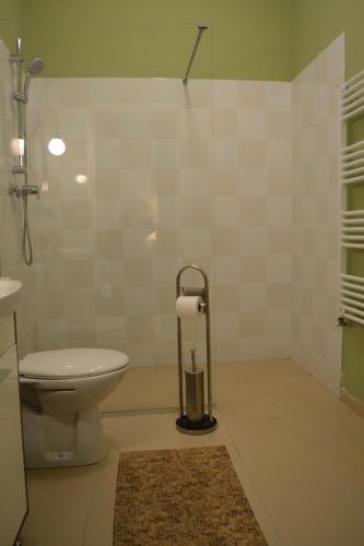 a bathroom with a toilet and a shower and a sink at Casa Krone - Piața Sfatului in Braşov