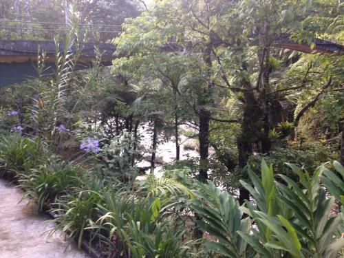 a garden with plants and trees and a bridge at Refúgio Ecológico Amadamata in Nova Friburgo