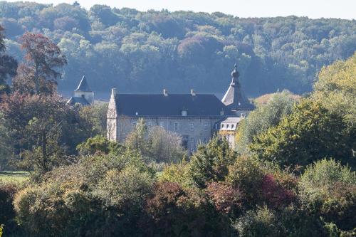 a large building in the middle of a forest at Appartement Schin op Geul in Schin op Geul