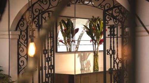Fotografie z fotogalerie ubytování Agrado Guest House v destinaci Oaxaca