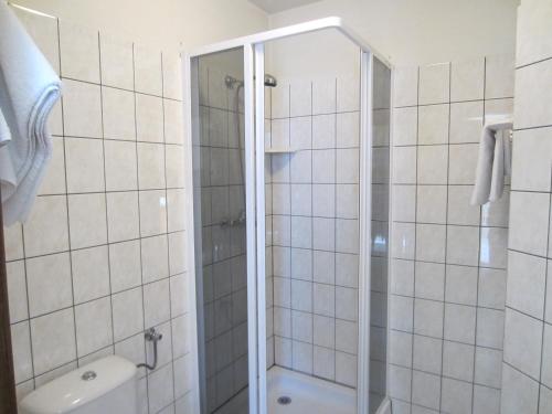 a bathroom with a shower and a toilet at Livonija in Sigulda