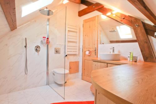 uma casa de banho com um chuveiro, um WC e um lavatório. em Apartment Briancon em Briançon