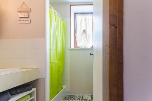a bathroom with a green shower and a window at Le Gîte du Lavoir in Marzy