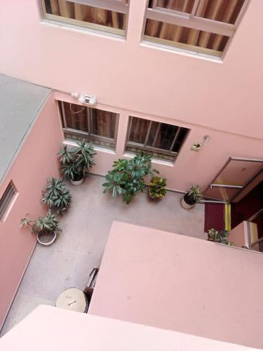 リマにあるHotel Mandarinの鉢植えのテーブルが置かれた空間