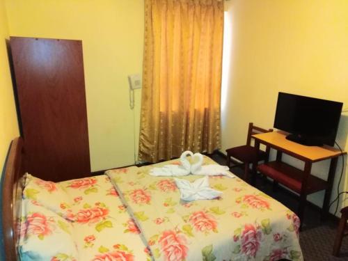 TV a/nebo společenská místnost v ubytování Hotel Mandarin