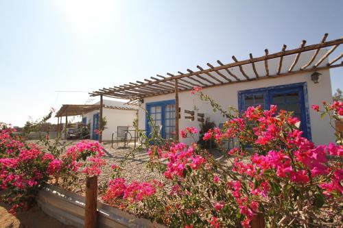 une maison avec des fleurs roses devant elle dans l'établissement Santerra, Valle de Guadalupe, à Valle de Guadalupe