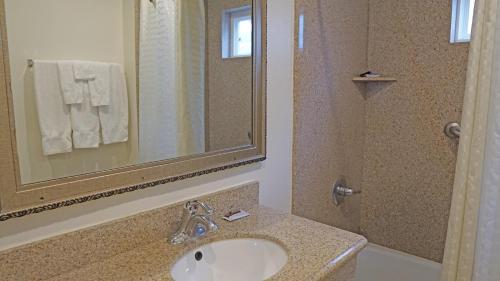 a bathroom with a sink and a mirror and a shower at Redondo Inn and Suites in Redondo Beach