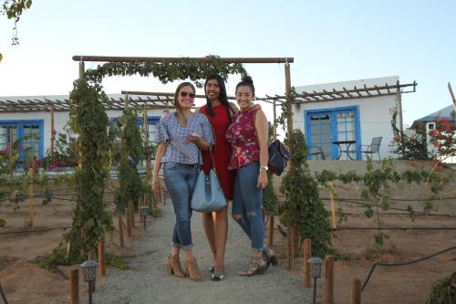 Clientes alojados en Santerra, Valle de Guadalupe