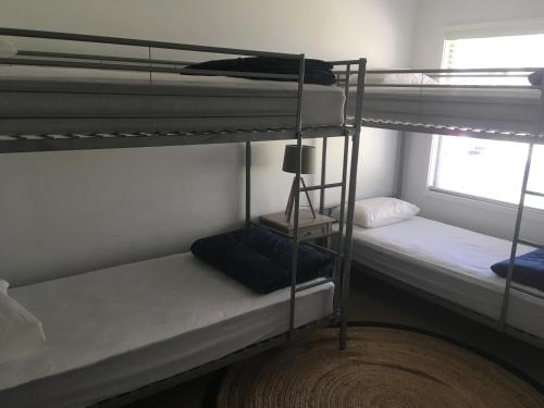 2 łóżka piętrowe w pokoju z oknem w obiekcie Tomaree Lodge w mieście Nelson Bay