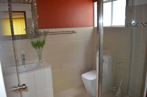 a bathroom with a toilet and a sink and a shower at Nid'Aigle Lodge in Anse Possession