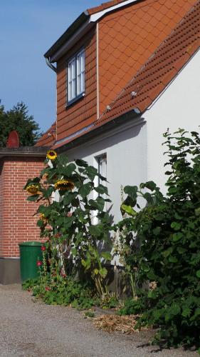 a house with a flower garden in front of it at Ferienwohnung-Sonnenblume in Grube