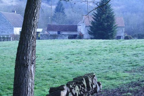 un arbre et un mur en pierre dans un champ dans l'établissement Chez Fred et Cécile, à Verdilly