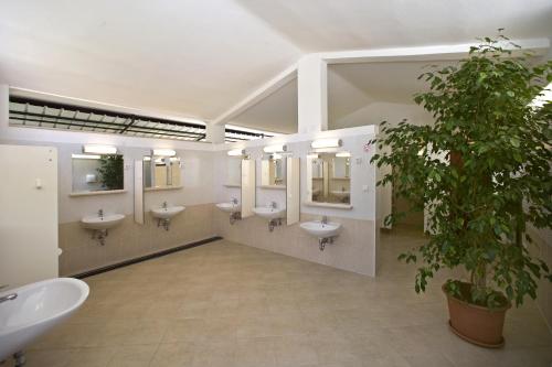 a bathroom with four sinks and a potted plant at Easyatent FKK Safari tent Ulika Naturist - clothes free in Poreč