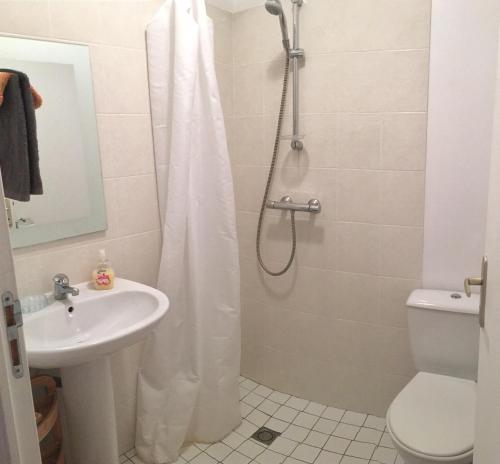 een badkamer met een douche, een wastafel en een toilet bij Ker Viviane in Dinan