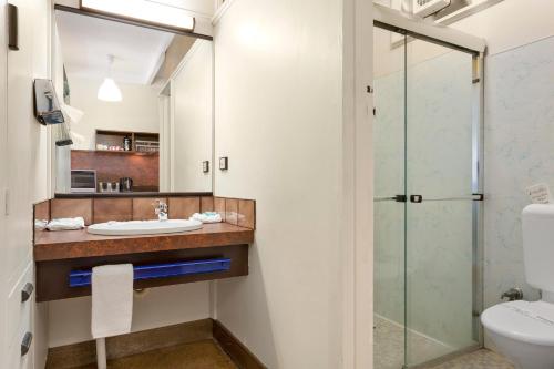 a bathroom with a sink and a shower at Village Family Motor Inn in Launceston