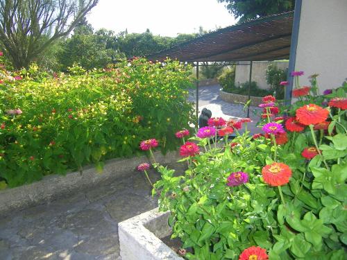 Taman di luar Villamijo