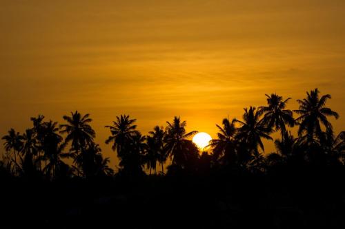 a sunset with palm trees in the foreground at The Island - Pongwe Lodge in Pongwe