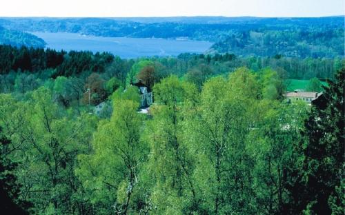 an overhead view of a forest of trees with a house at Hensbacka Hotell in Munkedal