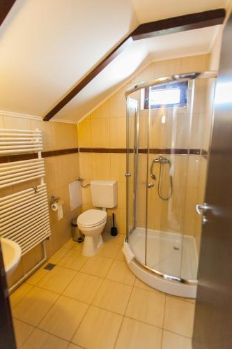 a bathroom with a toilet and a glass shower at Casa Thomas Bran in Bran