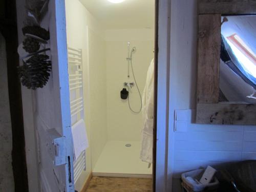 a bathroom with a shower in a room at Le domaine des 3 marmottes Chambres d' hôtes in Cierp
