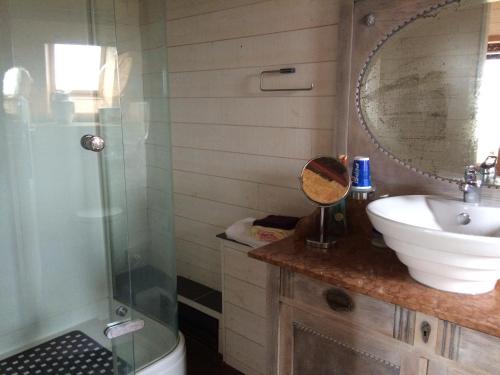 a bathroom with a shower and a sink and a mirror at Vakantiehuis Loft André in Leke