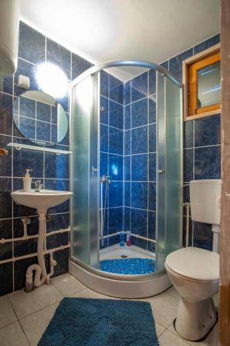 a bathroom with a shower with a toilet and a sink at Woodland ABC in Žabljak