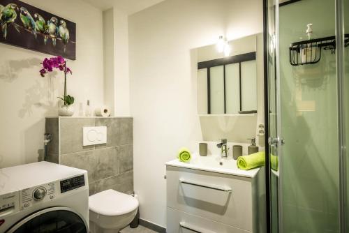 ein Badezimmer mit einem Waschbecken und einer Waschmaschine in der Unterkunft LE CHATELET- Parking Gratuit - Cosy et Design - à 10 mn de Geneve in Annemasse
