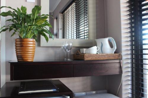 a shelf with a plant on it with a mirror at Whale Away Guest House in Hermanus