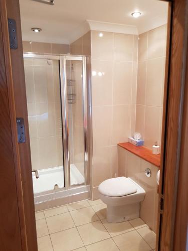 a bathroom with a toilet and a shower at The Courtyard Apartments !!!! in Killarney