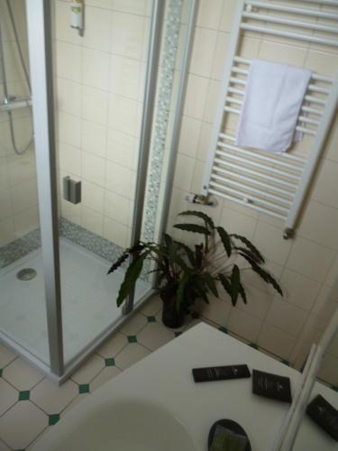 a bathroom with a shower and a plant in it at Hôtel Picardia in Saint-Valery-sur-Somme